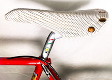 Load image into Gallery viewer, Boschetti MultiShape Vintage Road Race Bike