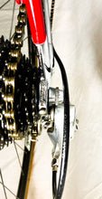 Load image into Gallery viewer, Boschetti MultiShape Vintage Road Race Bike