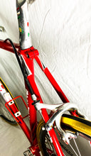 Load image into Gallery viewer, Boschetti MultiShape Vintage Road Race Bike