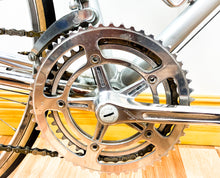 Load image into Gallery viewer, Cicli Alpi Vintage Road Bike by Oriello