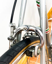 Load image into Gallery viewer, Cicli Alpi Vintage Road Bike by Oriello