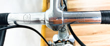 Load image into Gallery viewer, Cicli Alpi Vintage Road Bike by Oriello