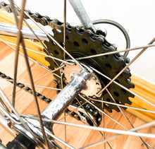 Load image into Gallery viewer, Cicli Alpi Vintage Road Bike by Oriello