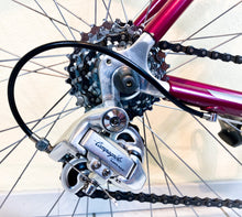 Load image into Gallery viewer, Andrea Pesenti bike on Trek 5500 Oclv