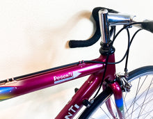 Load image into Gallery viewer, Andrea Pesenti bike on Trek 5500 Oclv