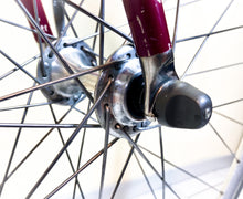 Load image into Gallery viewer, Andrea Pesenti bike on Trek 5500 Oclv