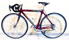Load image into Gallery viewer, Andrea Pesenti bike on Trek 5500 Oclv