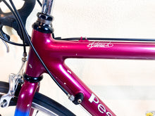 Load image into Gallery viewer, Andrea Pesenti bike on Trek 5500 Oclv