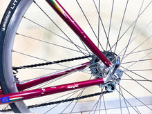 Load image into Gallery viewer, Andrea Pesenti bike on Trek 5500 Oclv