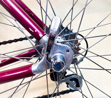 Load image into Gallery viewer, Andrea Pesenti bike on Trek 5500 Oclv