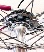 Load image into Gallery viewer, Andrea Pesenti bike on Trek 5500 Oclv