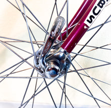 Load image into Gallery viewer, Andrea Pesenti bike on Trek 5500 Oclv