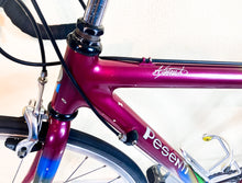 Load image into Gallery viewer, Andrea Pesenti bike on Trek 5500 Oclv