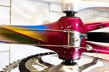 Load image into Gallery viewer, Andrea Pesenti bike on Trek 5500 Oclv