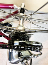 Load image into Gallery viewer, Andrea Pesenti bike on Trek 5500 Oclv