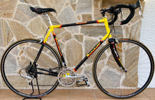 Load image into Gallery viewer, 55cm Cicli Boschetti Multi Shape vintage bike - Linea Carbonio