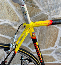 Load image into Gallery viewer, 55cm Cicli Boschetti Multi Shape vintage bike - Linea Carbonio