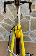 Load image into Gallery viewer, 55cm Cicli Boschetti Multi Shape vintage bike - Linea Carbonio