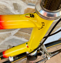 Load image into Gallery viewer, 55cm Cicli Boschetti Multi Shape vintage bike - Linea Carbonio