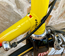 Load image into Gallery viewer, 55cm Cicli Boschetti Multi Shape vintage bike - Linea Carbonio