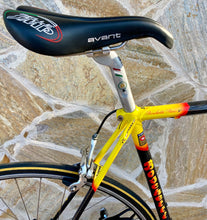 Load image into Gallery viewer, 55cm Cicli Boschetti Multi Shape vintage bike - Linea Carbonio