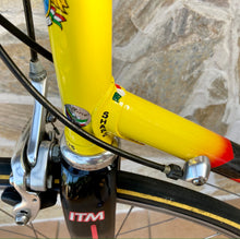 Load image into Gallery viewer, 55cm Cicli Boschetti Multi Shape vintage bike - Linea Carbonio