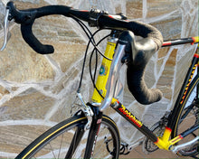 Load image into Gallery viewer, 55cm Cicli Boschetti Multi Shape vintage bike - Linea Carbonio