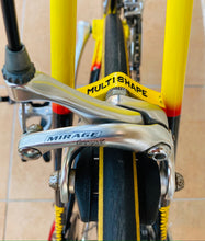 Load image into Gallery viewer, 55cm Cicli Boschetti Multi Shape vintage bike - Linea Carbonio