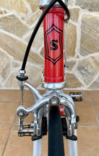 Load image into Gallery viewer, 58cm Sannino Crono Lo Pro TT Bike