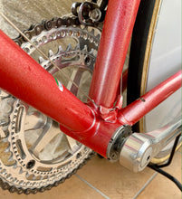 Load image into Gallery viewer, 58cm Sannino Crono Lo Pro TT Bike