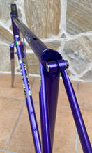 Load image into Gallery viewer, 56 cm Cicli Boschetti SLX Vintage Road Bike Frame NOS