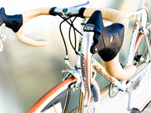 Load image into Gallery viewer, B. Benatti's "Four Seasons" on Boschetti Bike
