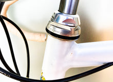 Load image into Gallery viewer, B. Benatti's "Four Seasons" on Boschetti Bike