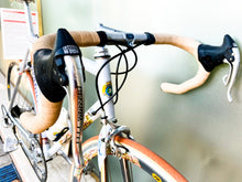 Load image into Gallery viewer, B. Benatti's "Four Seasons" on Boschetti Bike