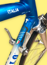 Load image into Gallery viewer, Pinarello TT Vintage Lo Pro Crono Bike