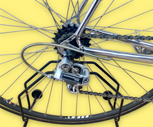 Load image into Gallery viewer, Pinarello TT Vintage Lo Pro Crono Bike