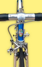 Load image into Gallery viewer, Pinarello TT Vintage Lo Pro Crono Bike