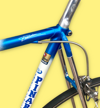 Load image into Gallery viewer, Pinarello TT Vintage Lo Pro Crono Bike