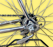 Load image into Gallery viewer, Pinarello TT Vintage Lo Pro Crono Bike