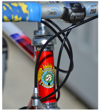 Load image into Gallery viewer, Boschetti MultiShape Vintage Road Race Bike