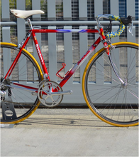 Load image into Gallery viewer, Boschetti MultiShape Vintage Road Race Bike