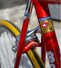 Load image into Gallery viewer, Boschetti MultiShape Vintage Road Race Bike