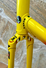Load image into Gallery viewer, Rino Boschetti Custom Multishape Frameset - NOS fork
