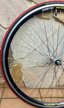 Load image into Gallery viewer, Ambrosio Focus TQB Campagnolo Wheelset for Clincher
