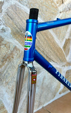 Load image into Gallery viewer, 54cm Pinarello Treviso Frameset - New paint
