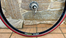 Load image into Gallery viewer, Ambrosio Focus TQB Campagnolo Wheelset for Clincher
