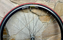 Load image into Gallery viewer, Ambrosio Focus TQB Campagnolo Wheelset for Clincher
