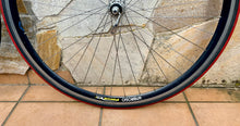 Load image into Gallery viewer, Ambrosio Focus TQB Campagnolo Wheelset for Clincher
