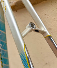 Load image into Gallery viewer, 60cm Patelli Super Corsa Frameset
