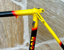 Load image into Gallery viewer, Rino Boschetti Custom Multishape Frameset - NOS fork
